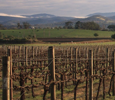 免费DDOS攻击测试工具